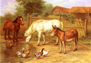  Duck Works - Ponies Donky and Ducks In A Farmyard poultry livestock barn Edgar Hunt
